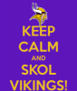 Vikings Skol.png