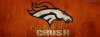 OrangeCrush-back-anthonyrael.jpg