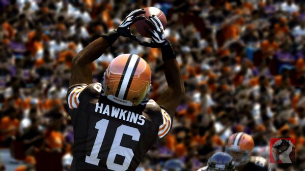 hawkins-back1.jpg