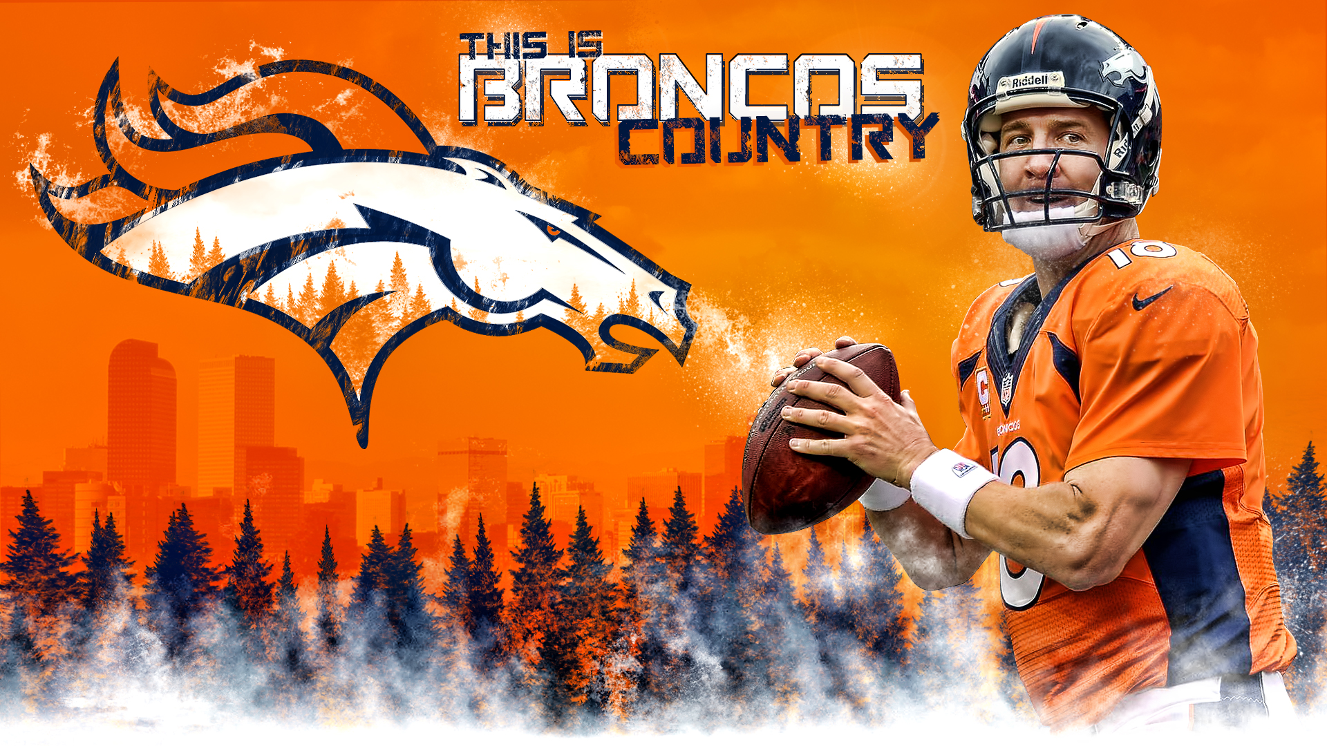 denver_broncos_peyton_manning_broncos_country_wall_by_denversportswalls-d71t21j.jpg